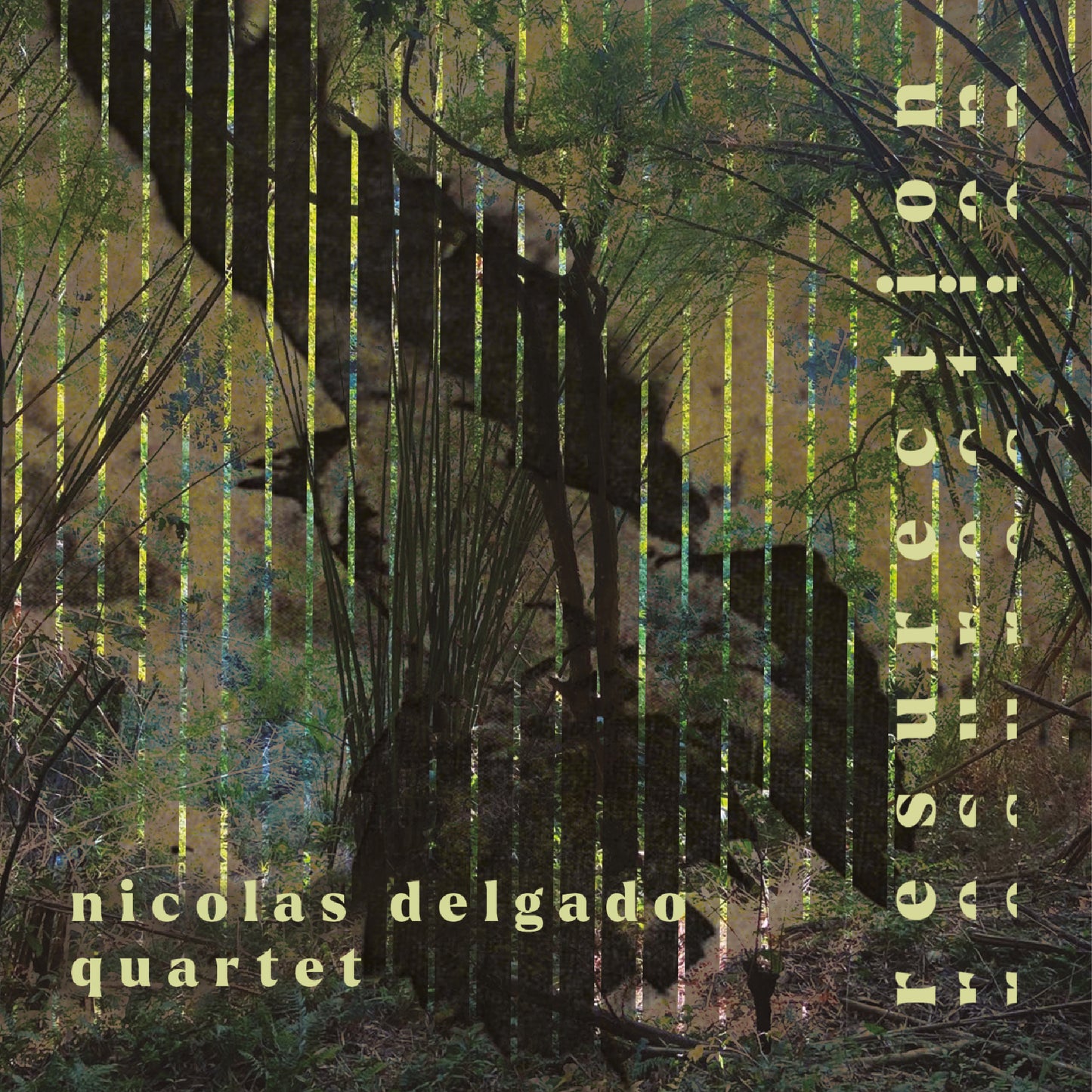Cover Resurrection - Nicolás Delgado Quartet