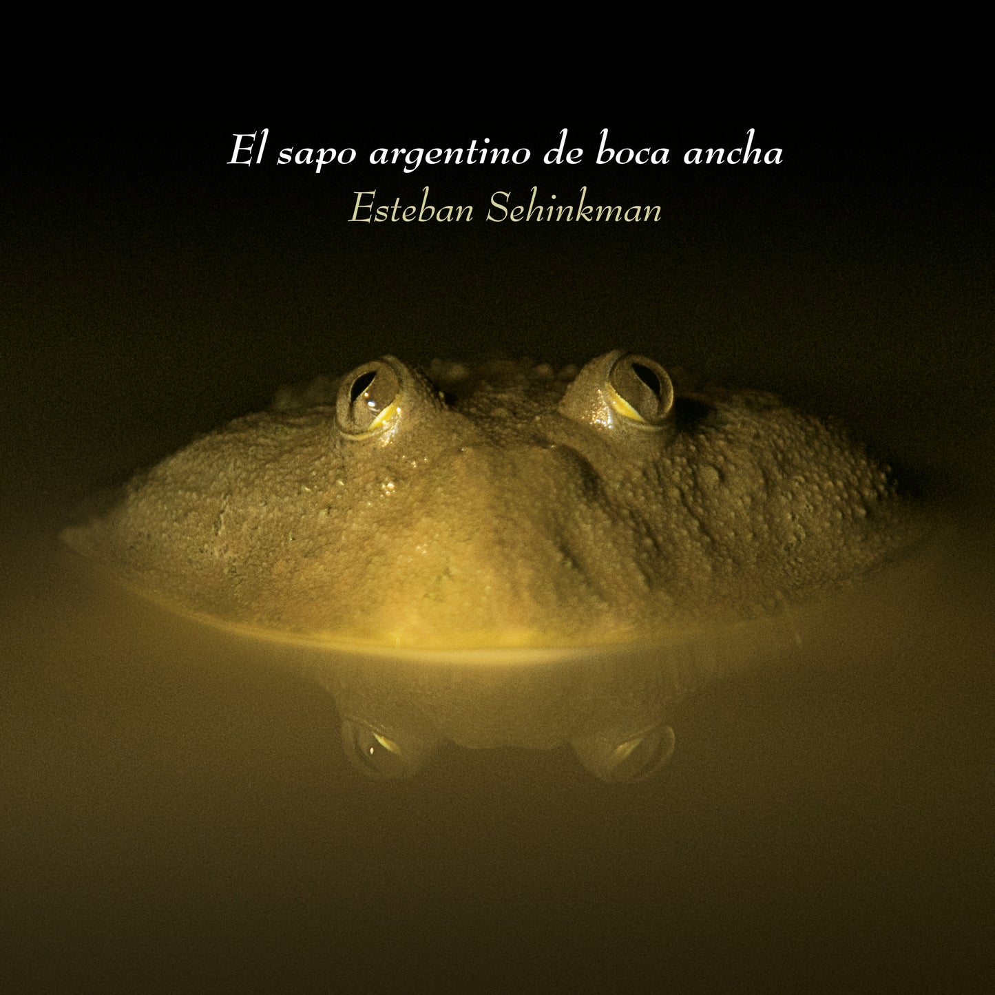 Esteban Sehinkman  - El Sapo Argentina de boca ancha