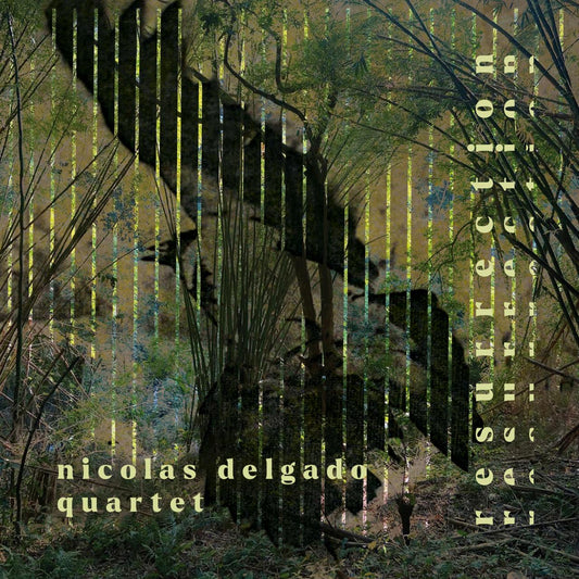 Cover Resurrection - Nicolás Delgado Quartet
